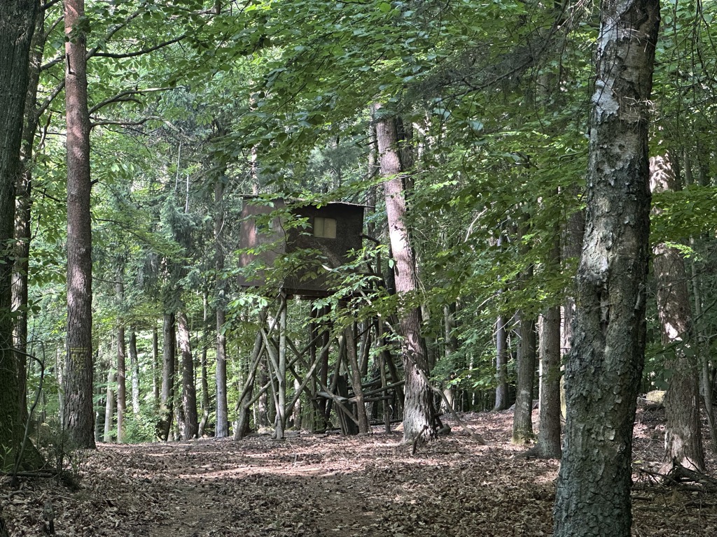 Ringelsberg