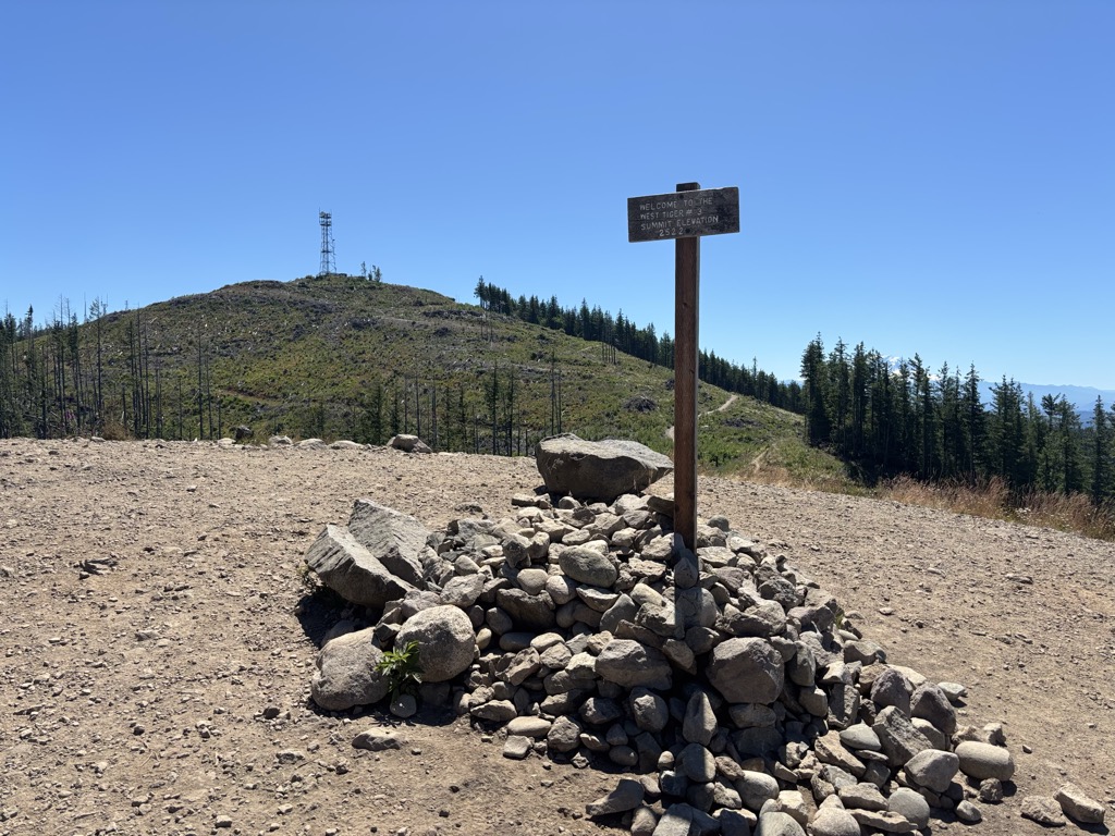West Tiger #3