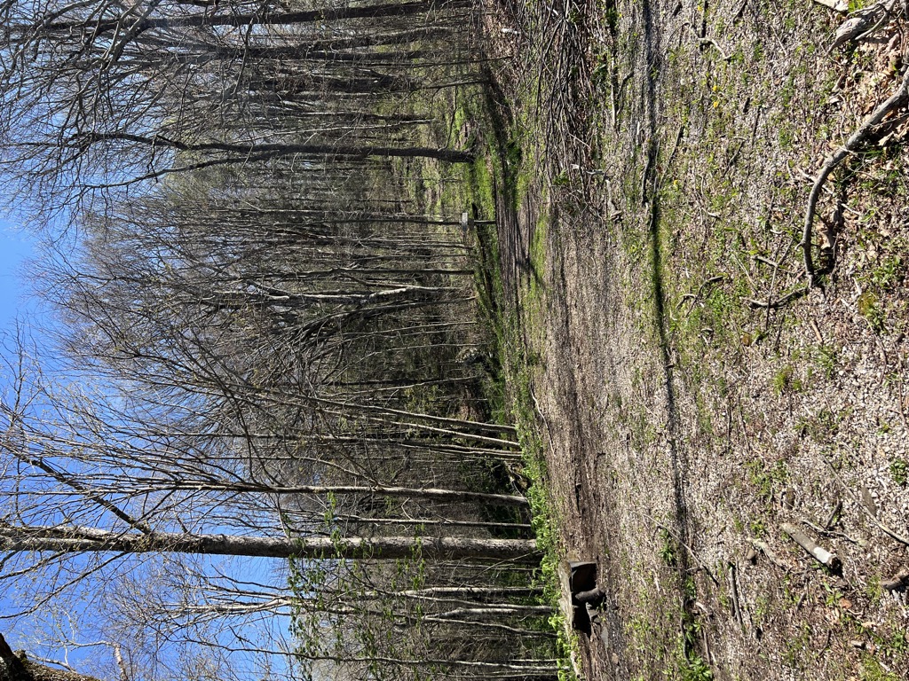 Cold Spring Gap