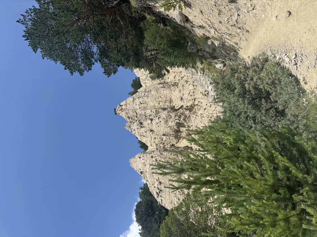 Zalik Gubzh