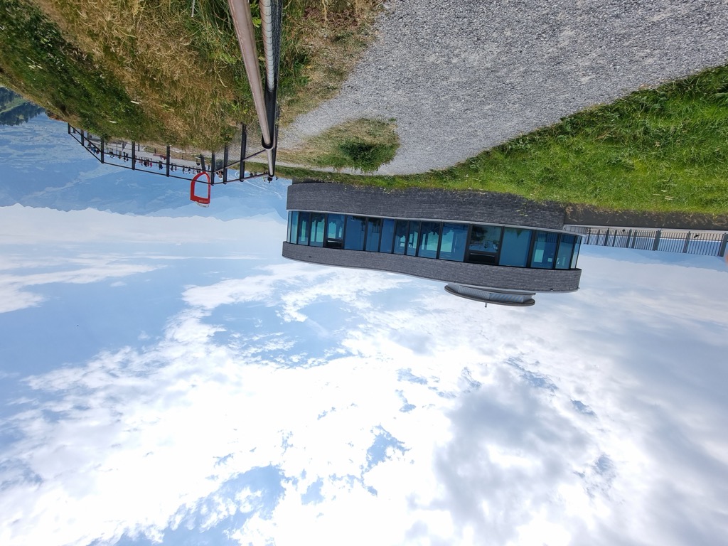 Alpengeierin
