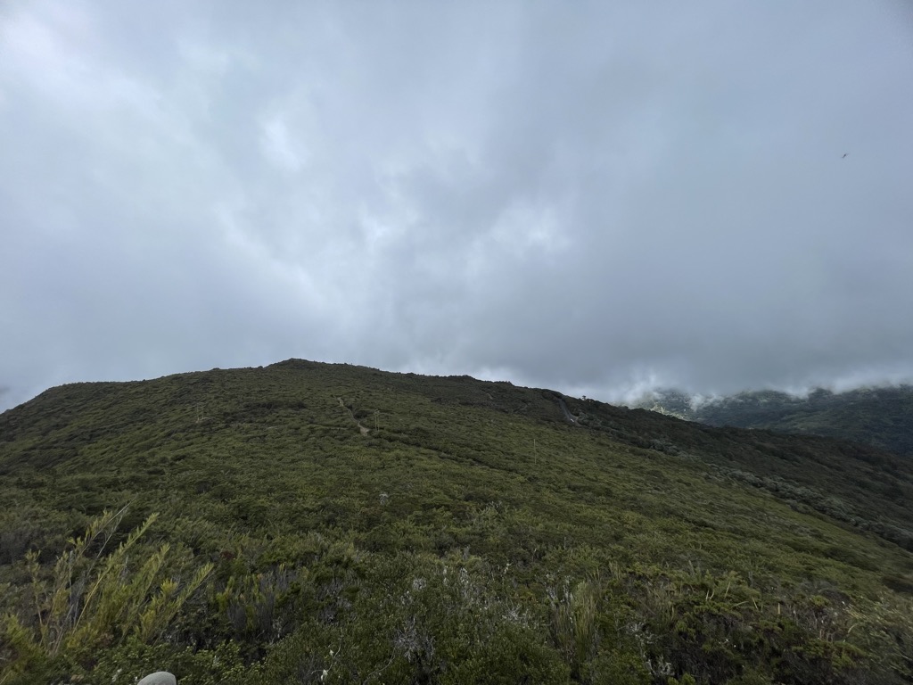 Cerro Sábila