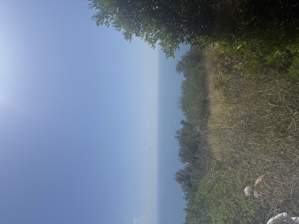 marco trombone