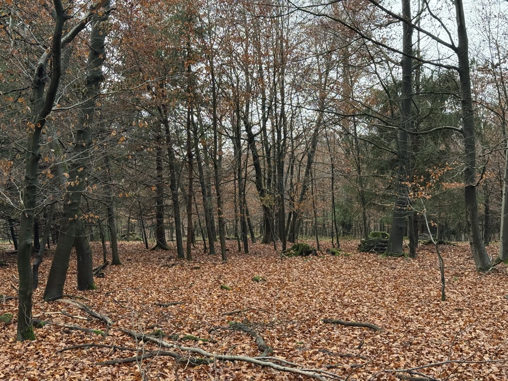 Falkenberg