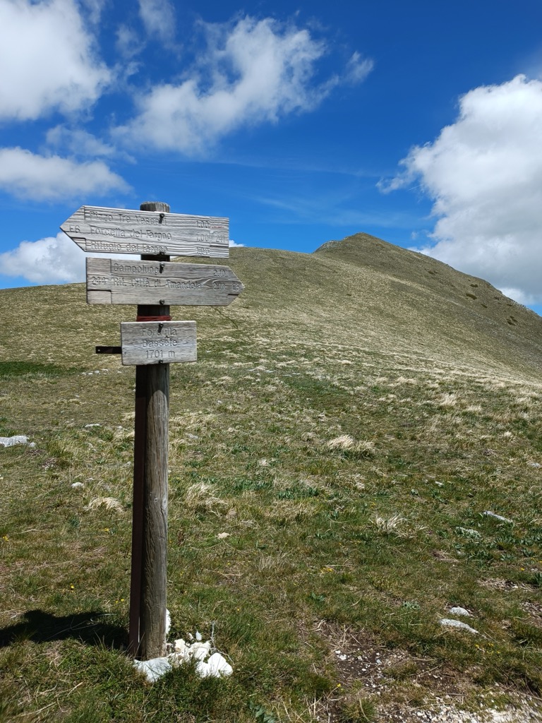 Forcella Bassete