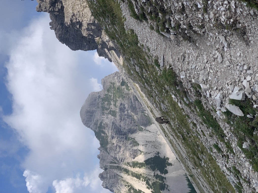 Forcella Val di Brica