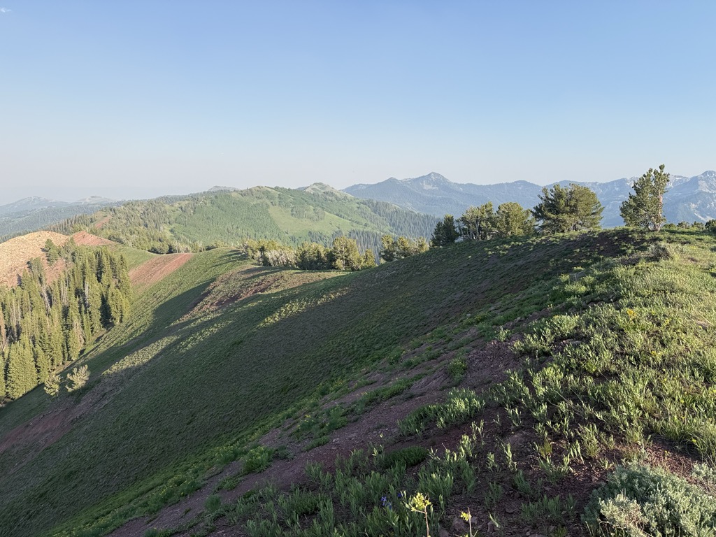 Silver Peak