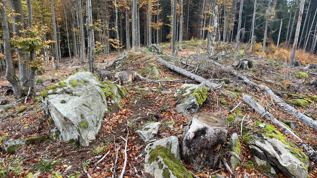 Kronberg