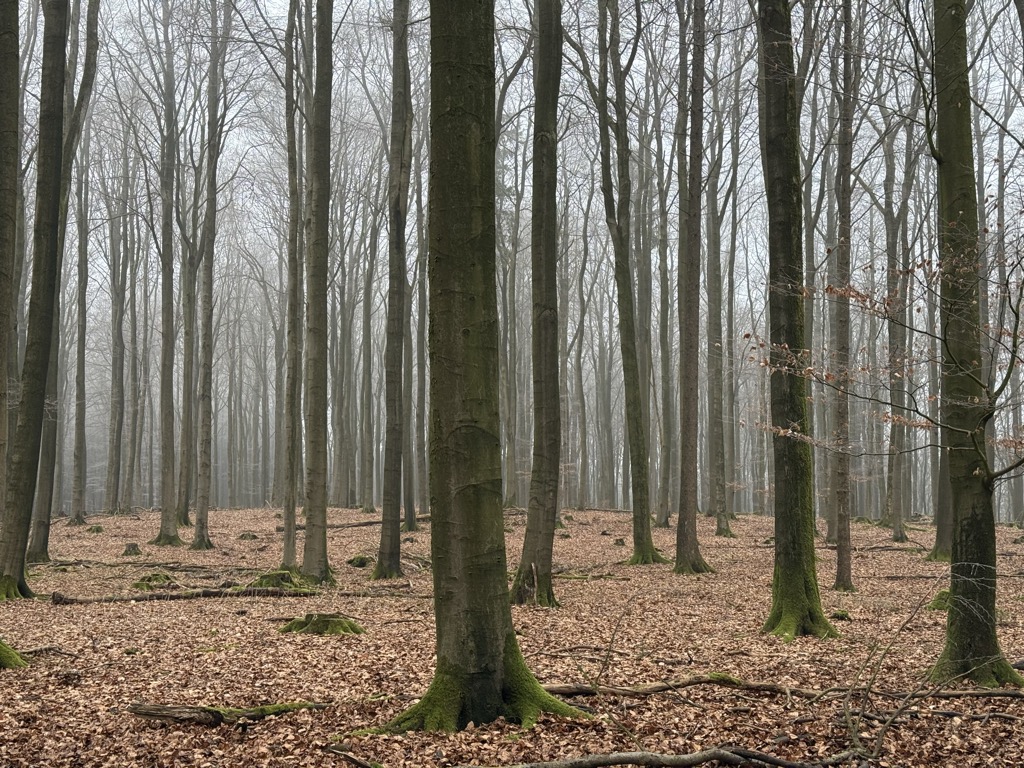 Kartoffelberg