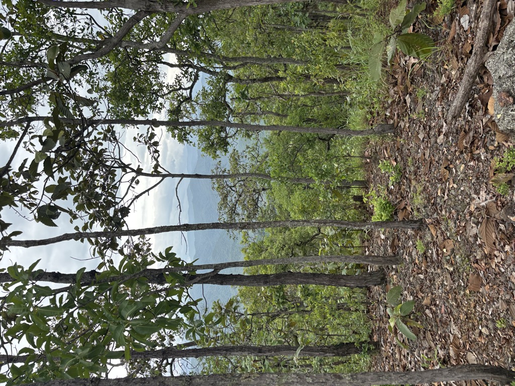 Doi Pha Phucng