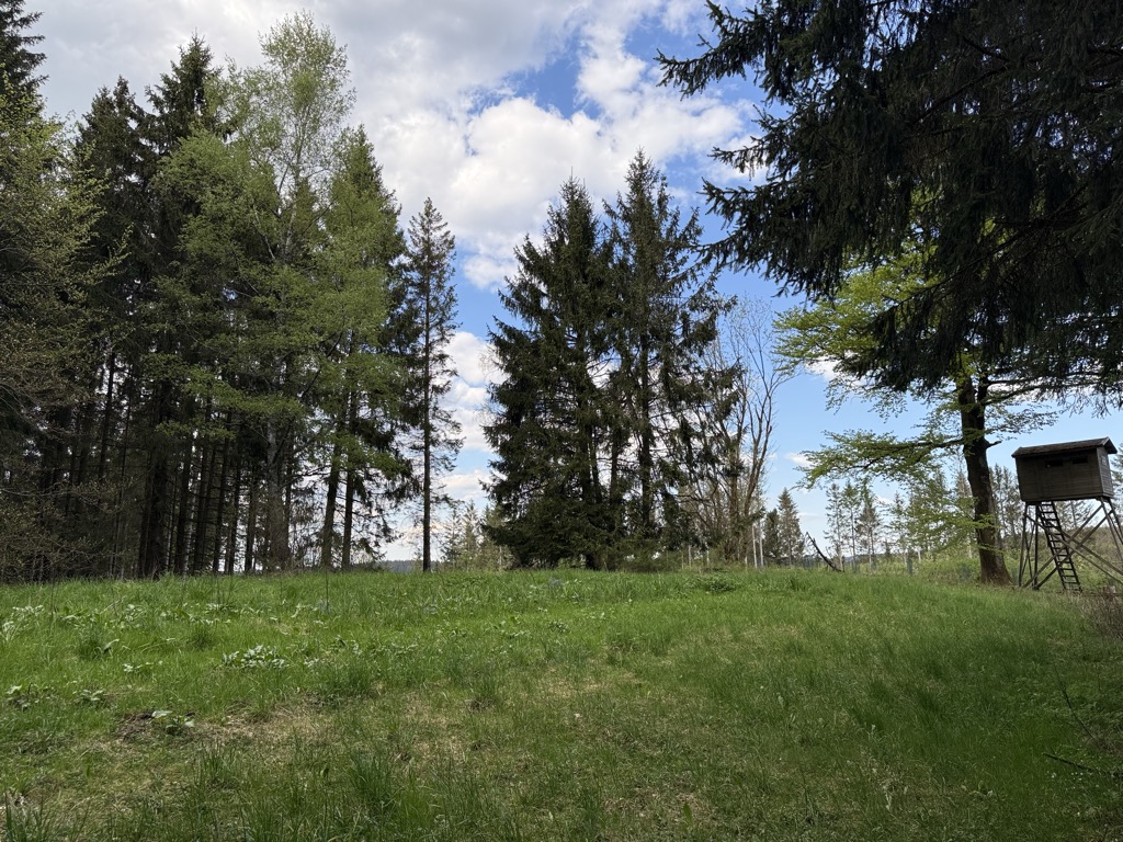 Iberg