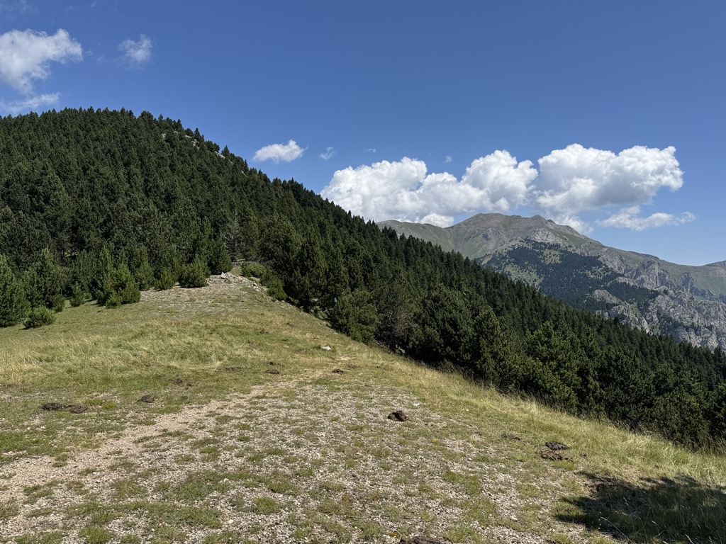 Coll de la Miquela