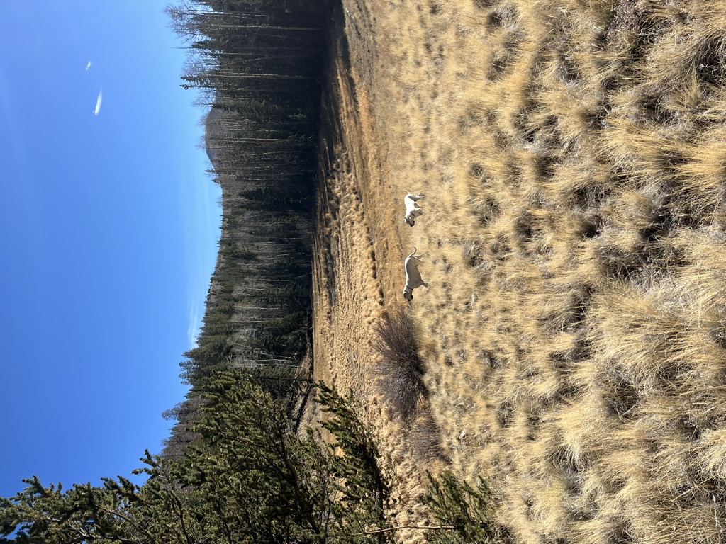 Lost Lake