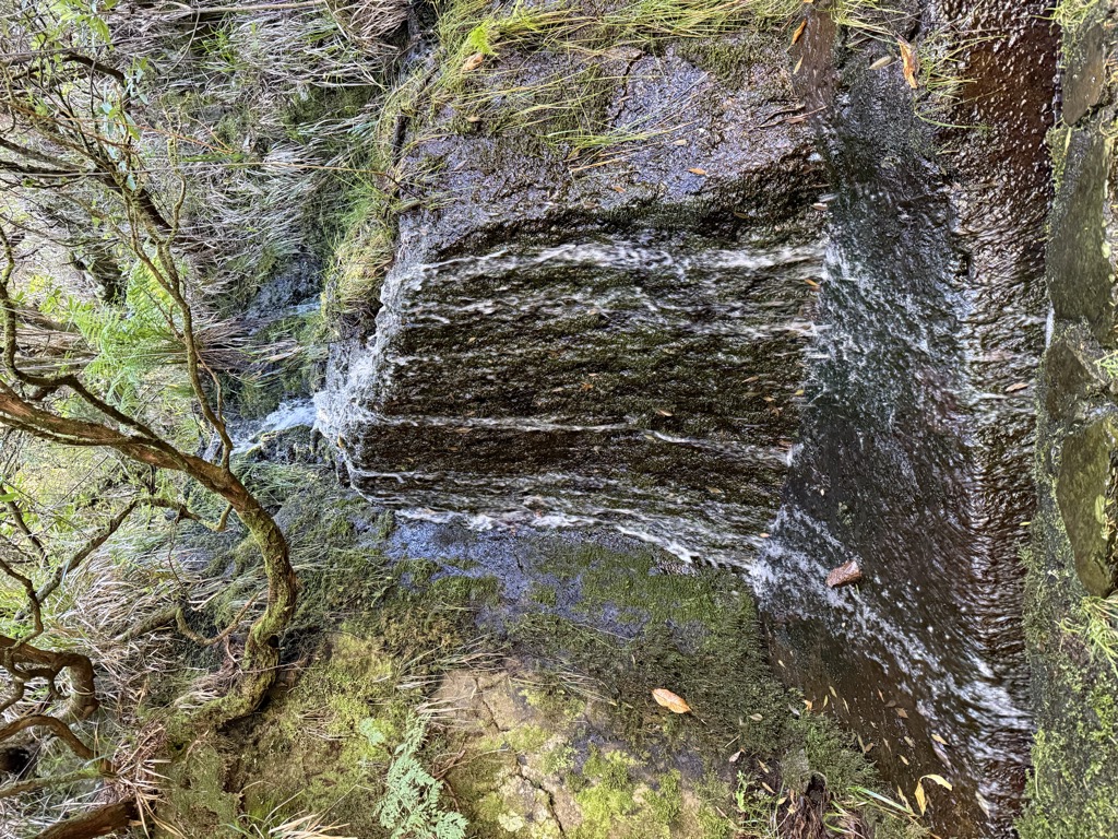 Pico Queimado