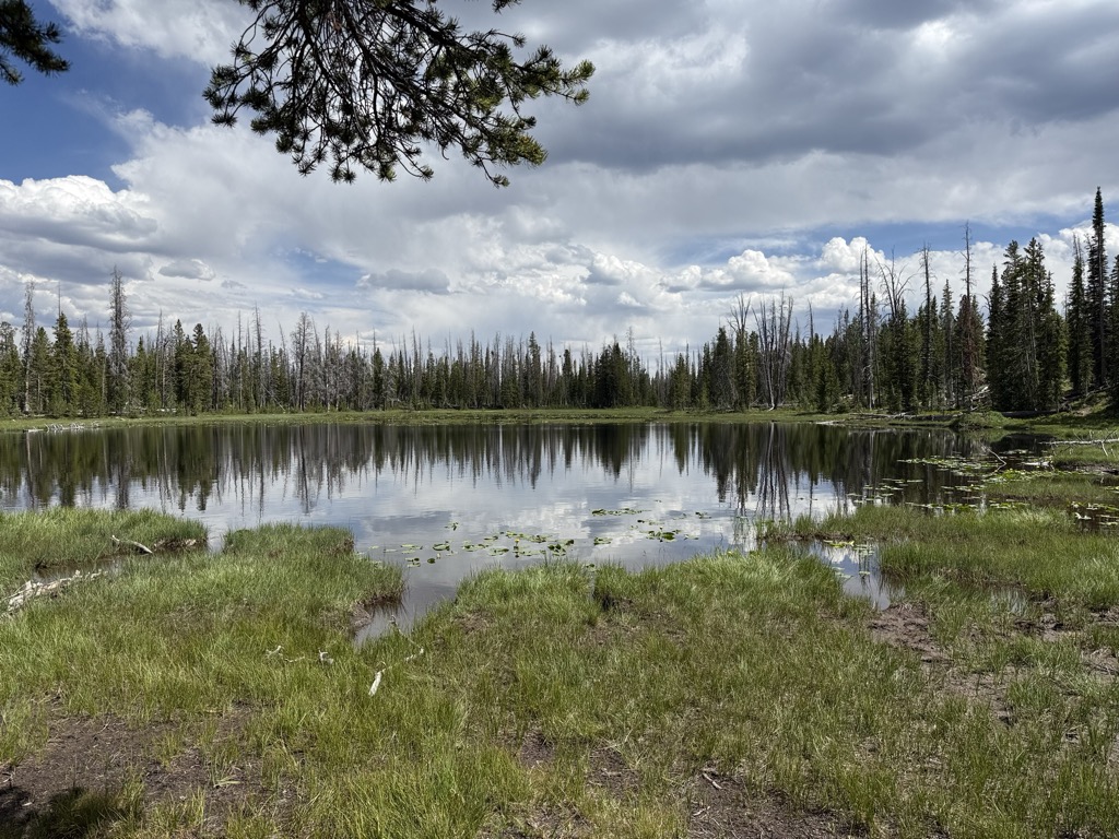 Lily Lakes