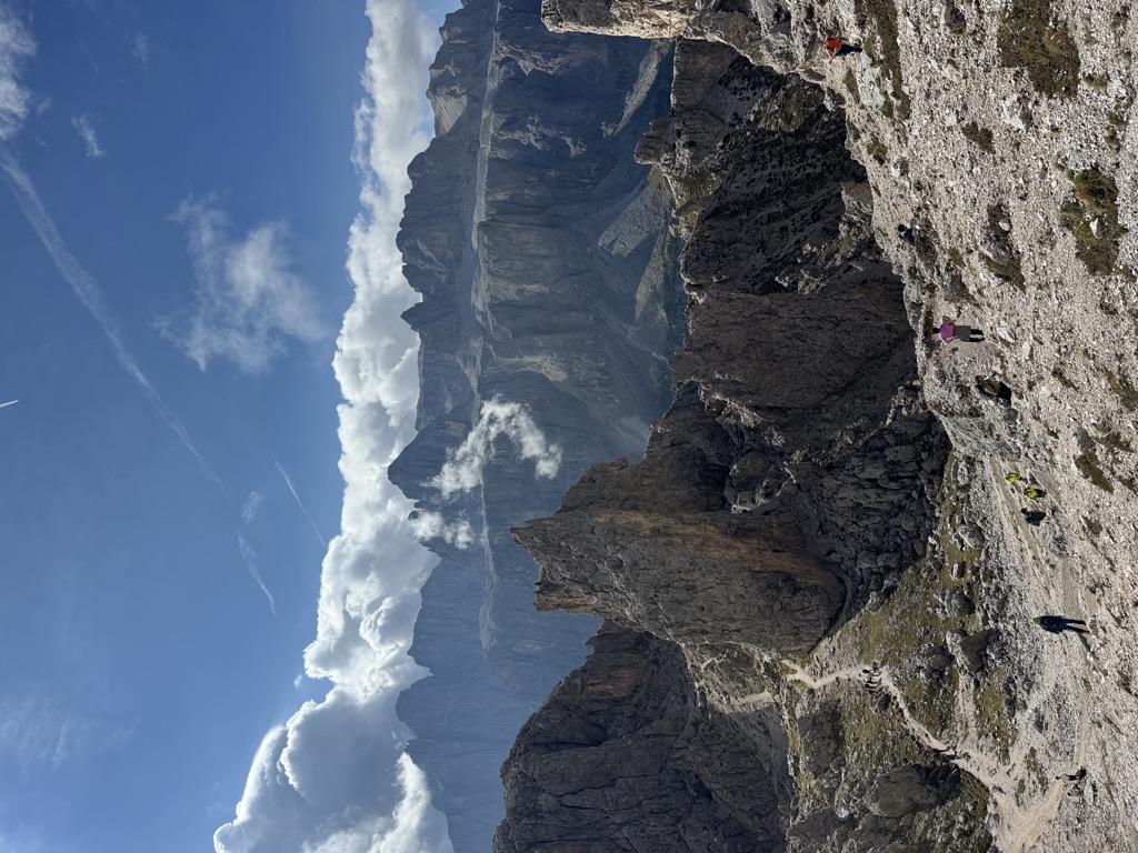 Furcela de Cir