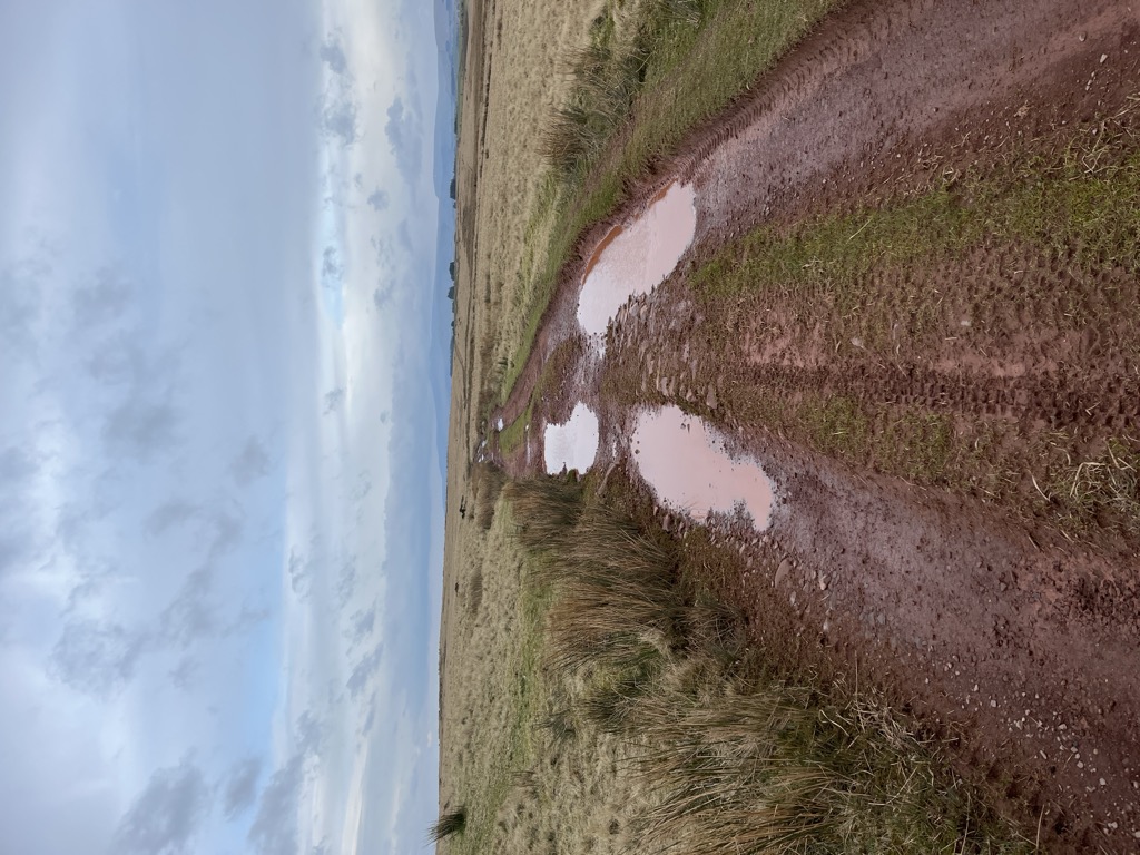 Mynydd Bach Trecastell