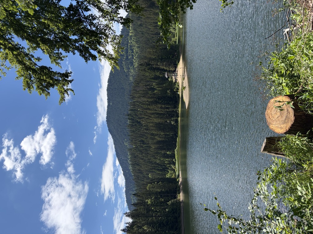 Synevyr