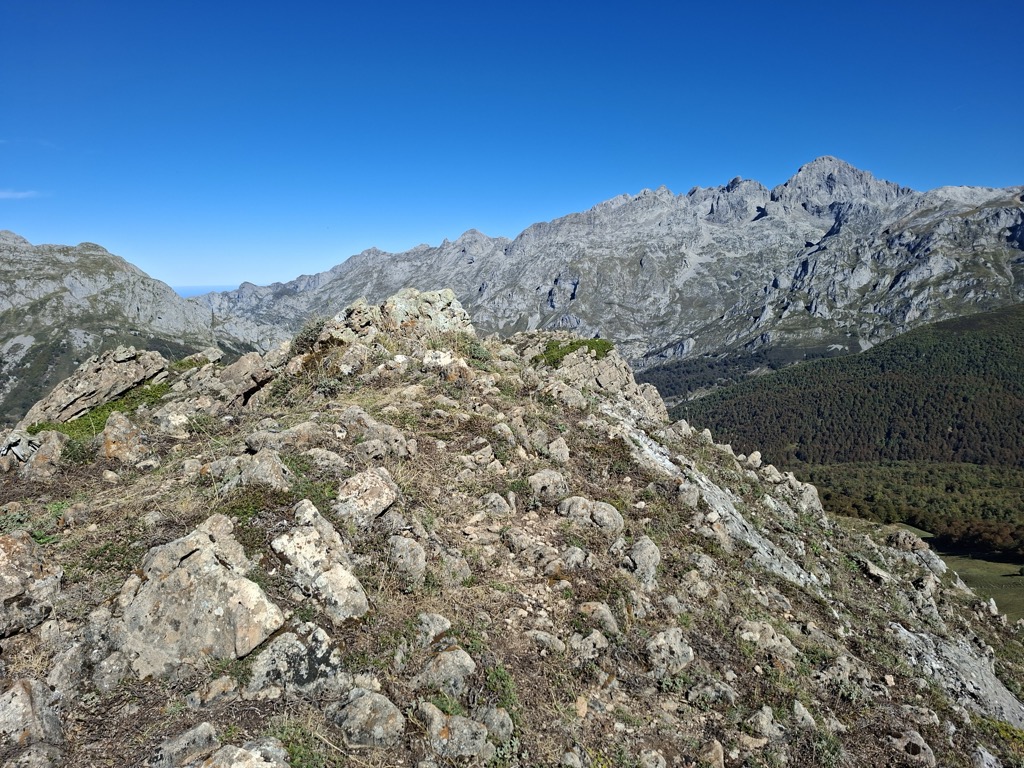 Pico Neón