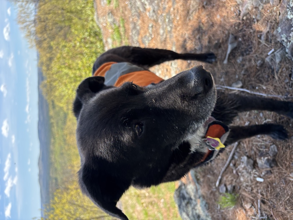 Phoebes Nable Mountain