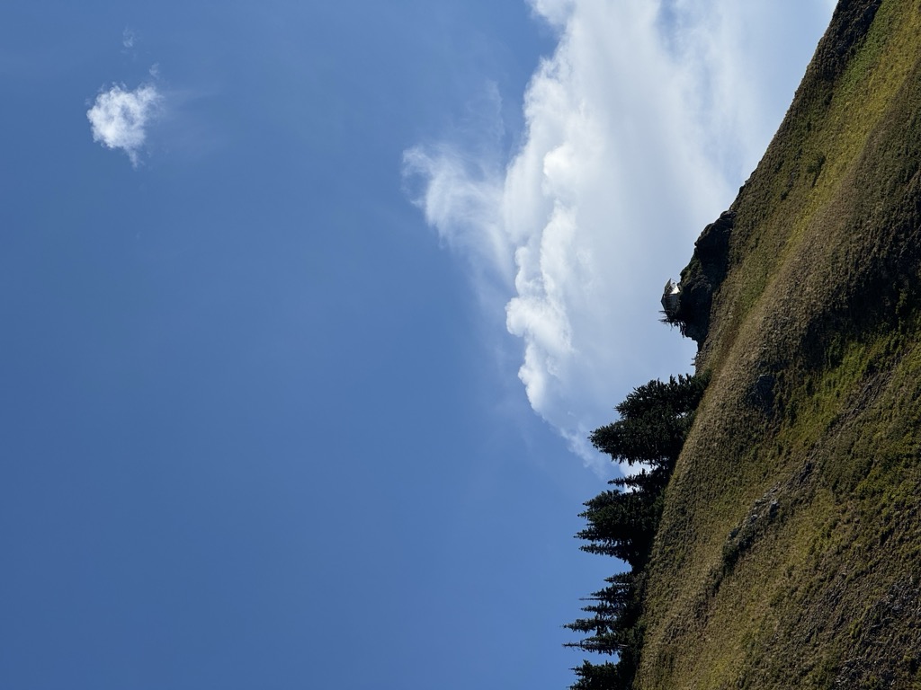 Evergreen Mountain