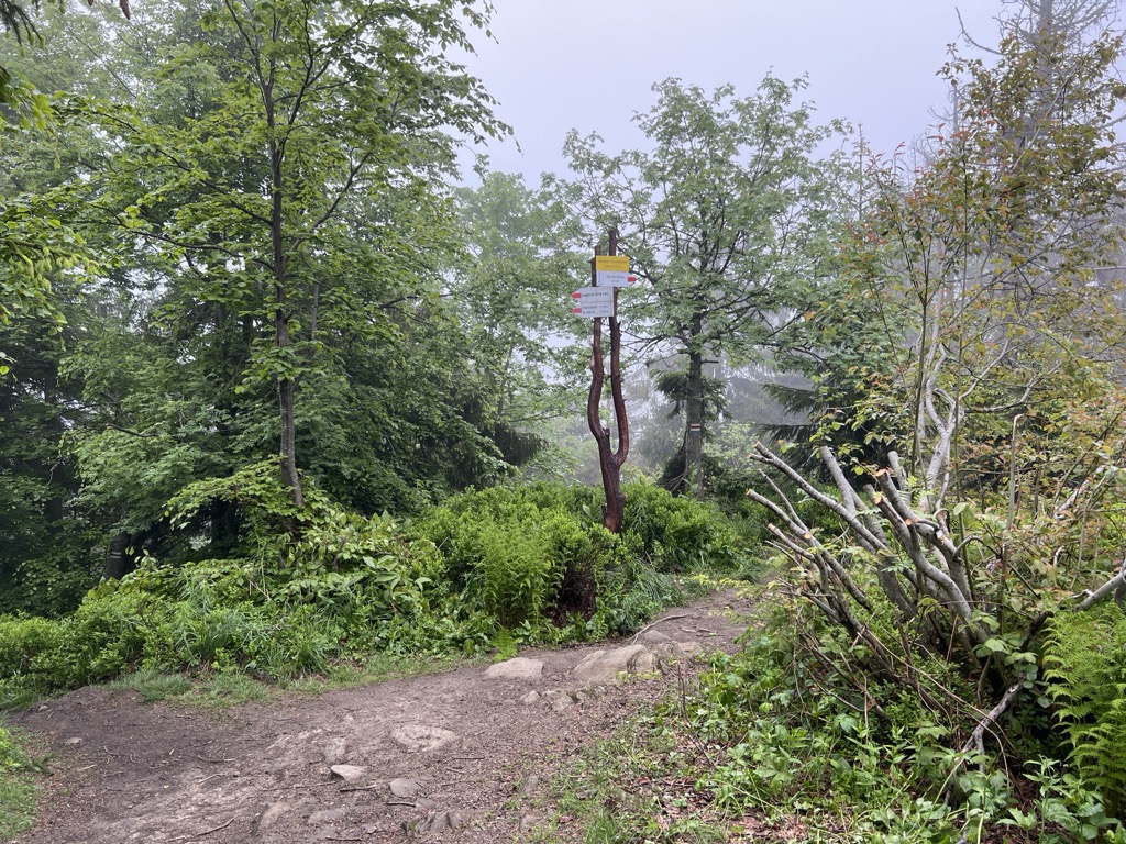 Wielka Rycerzowa / Rycierova hora