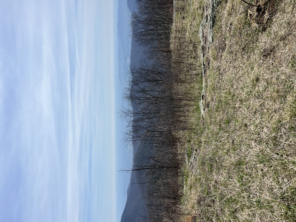 Cole Mountain