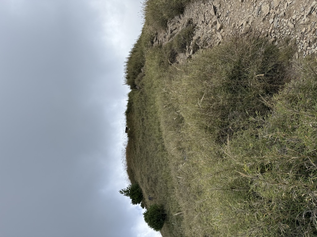 Xueshan East Peak