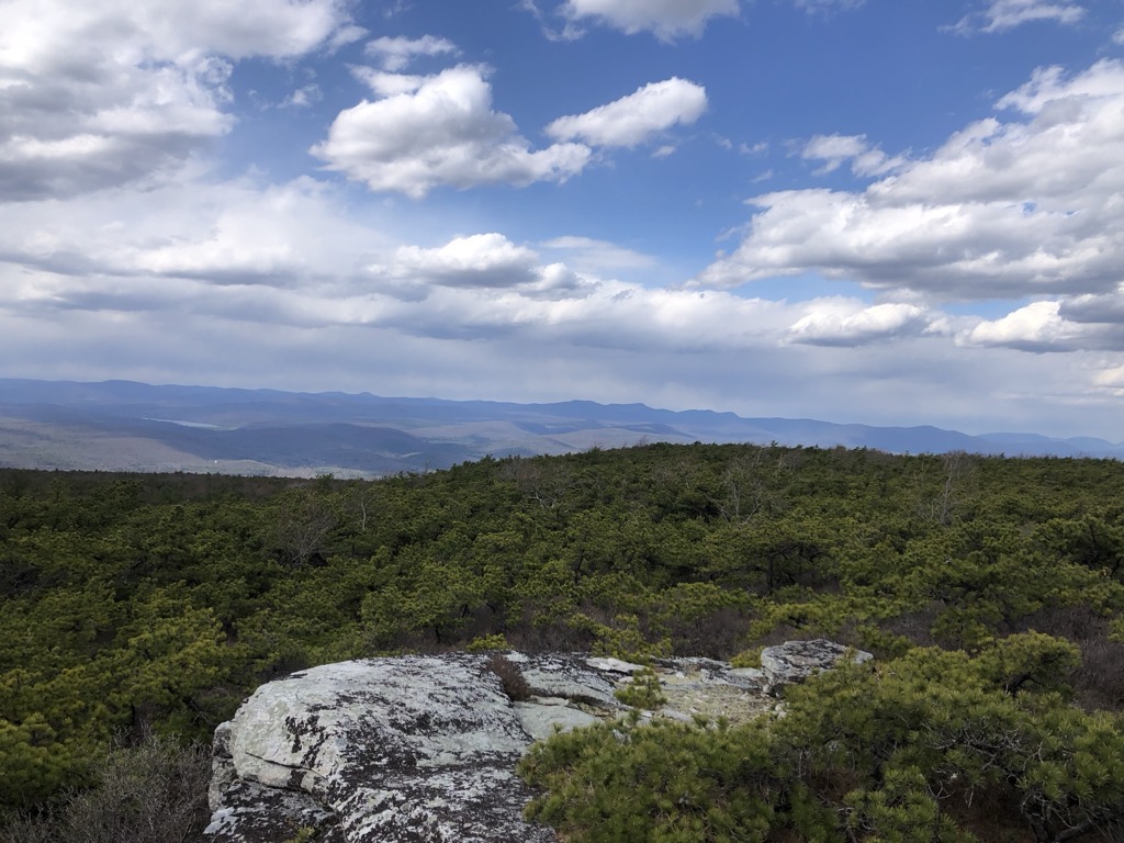 High Point