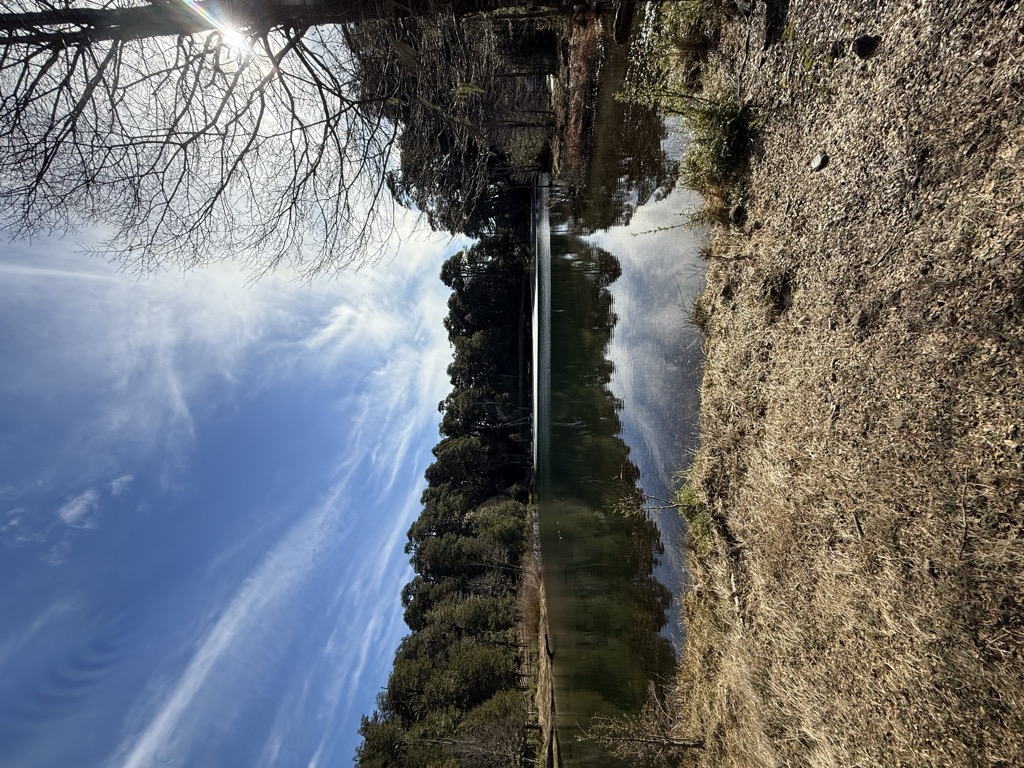 Laguna Carilafquén