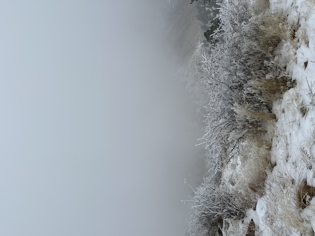 Mount Galbraith