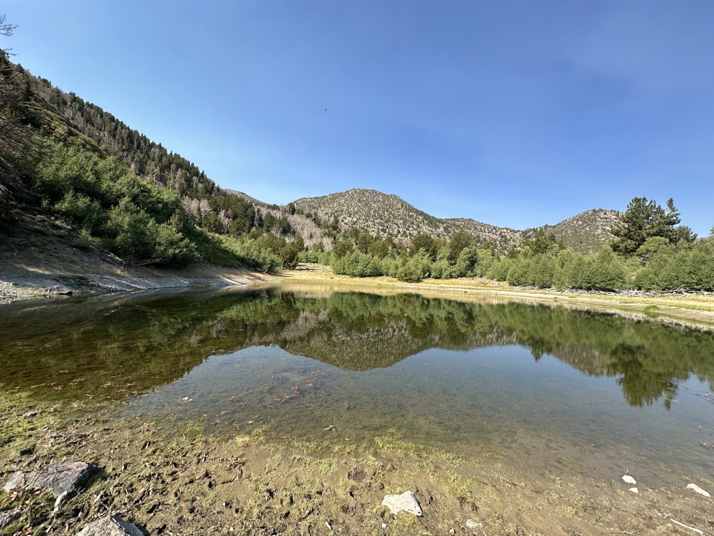 Church's Pond