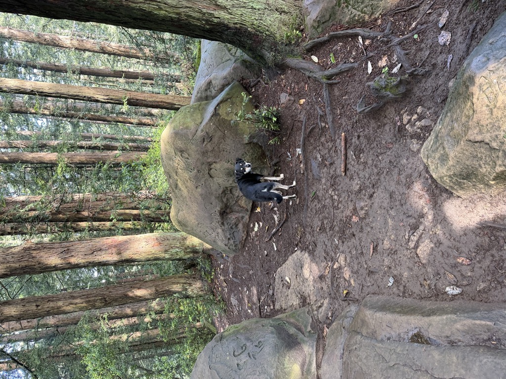Redwood Peak