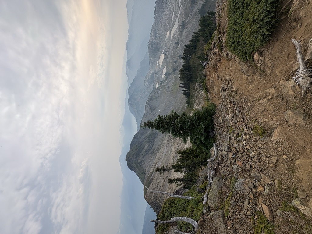 Yellow Aster Butte