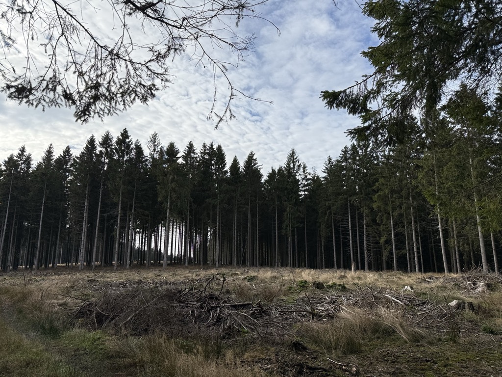 Zwistberg