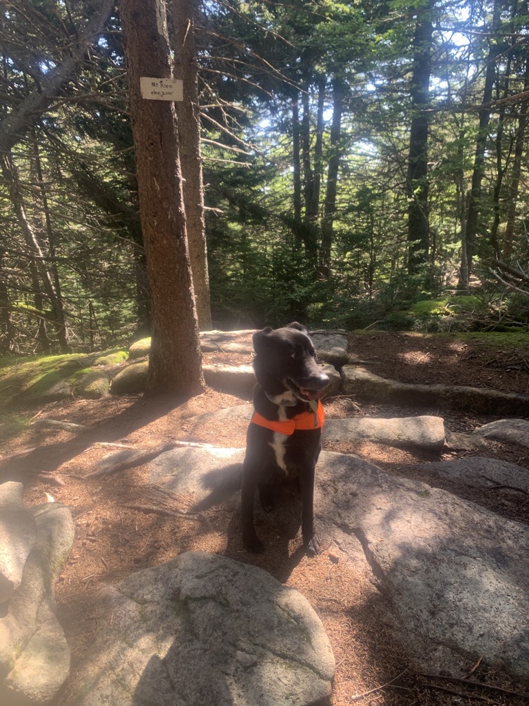 Mount Klem