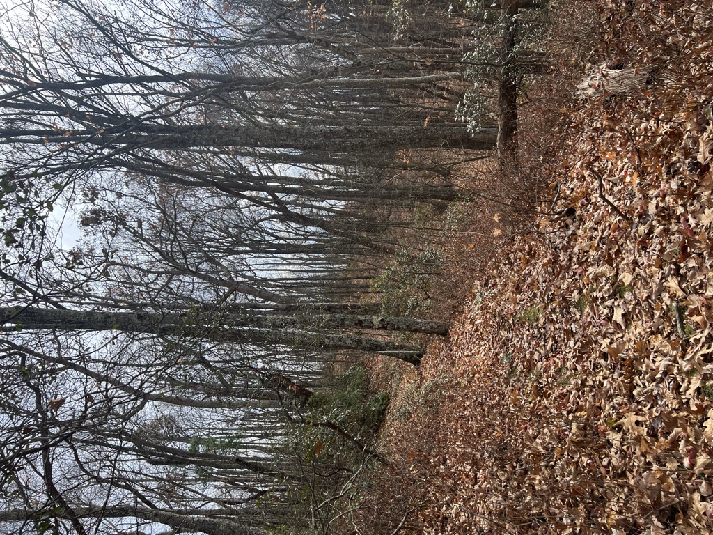 Rocky Ridge