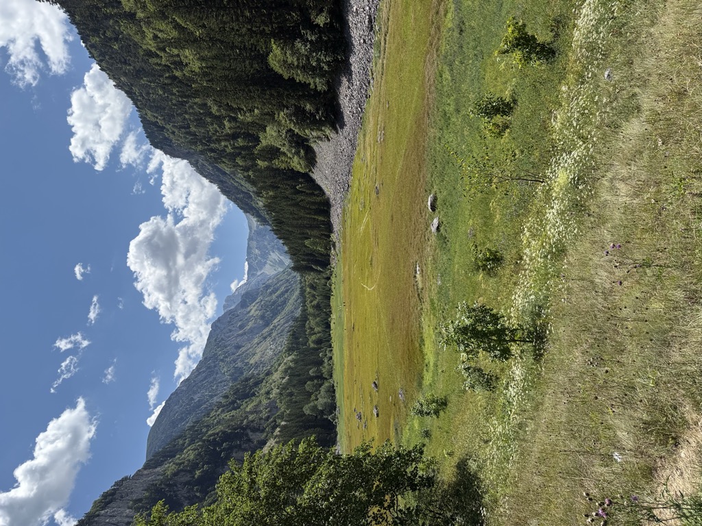 Sušičko jezero