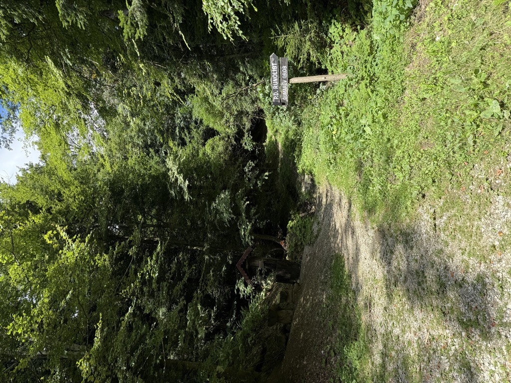 Tigrovo oko