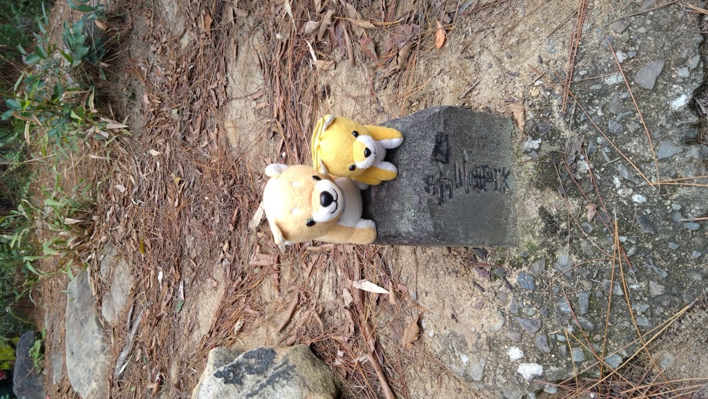 Mt. Xinbeitou