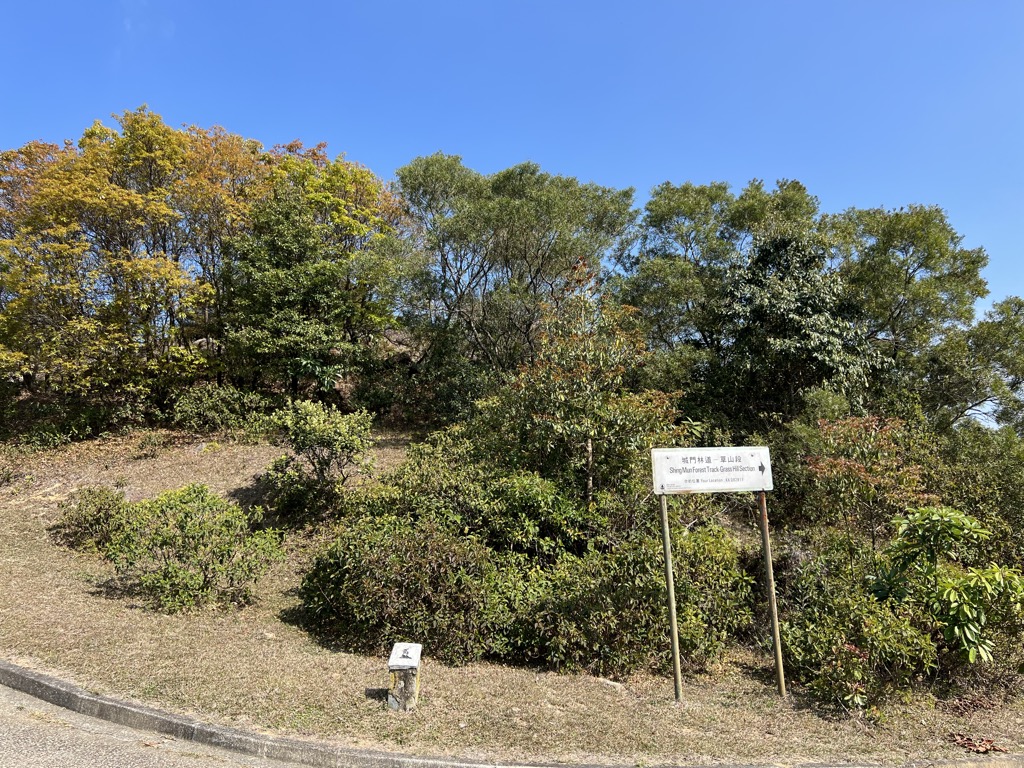 Grassy Hill