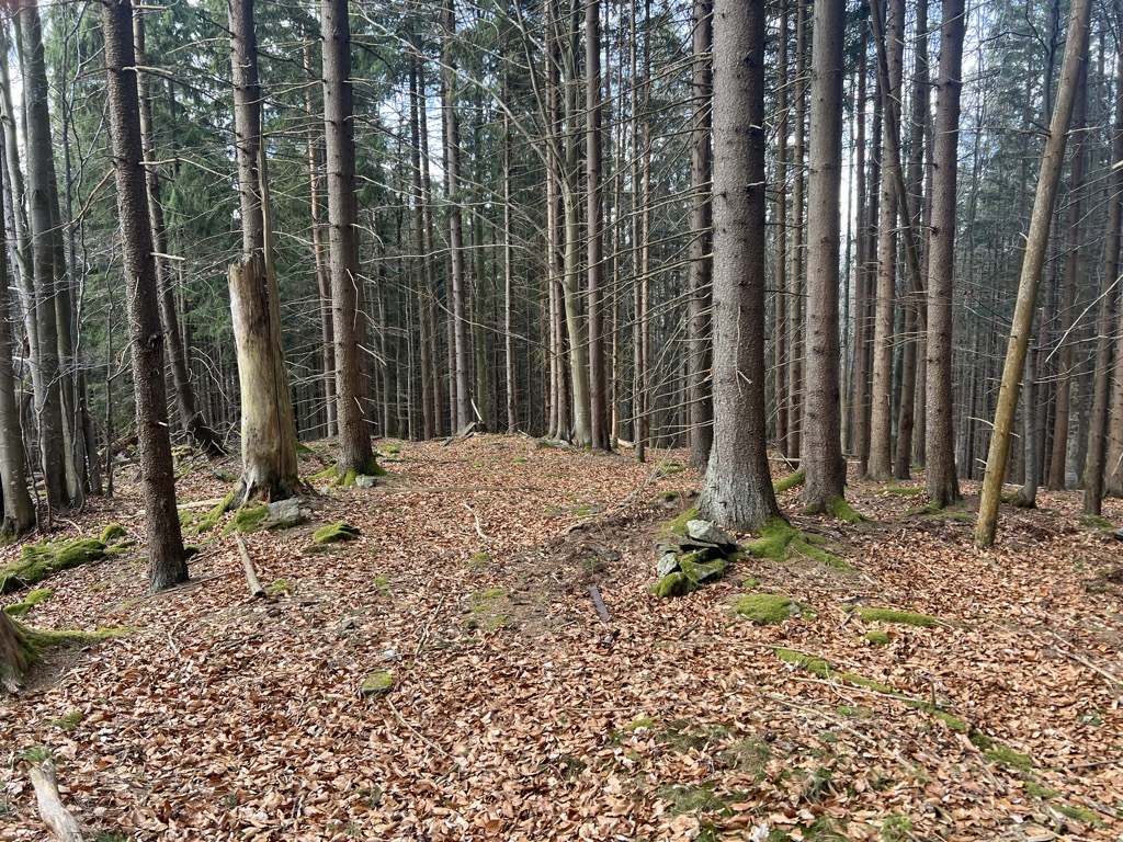 Pestřický vrch