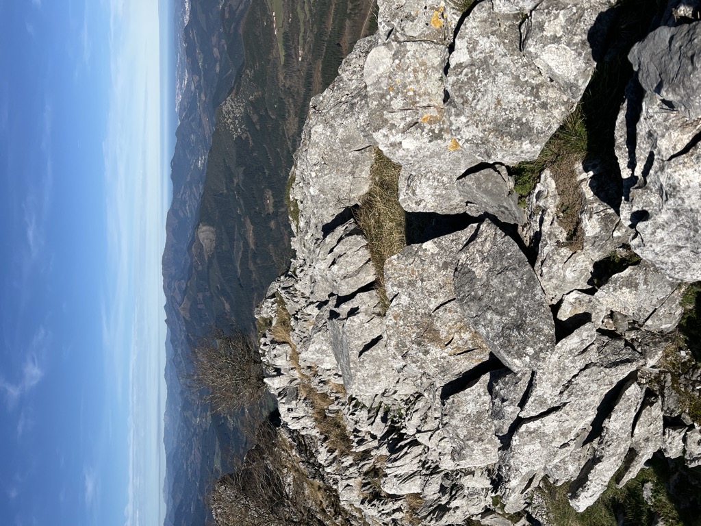 Urtutxe
