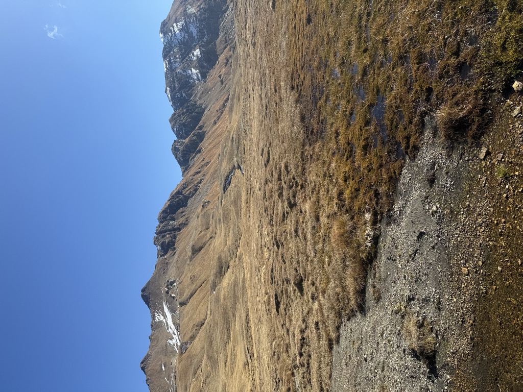Passo Pojala