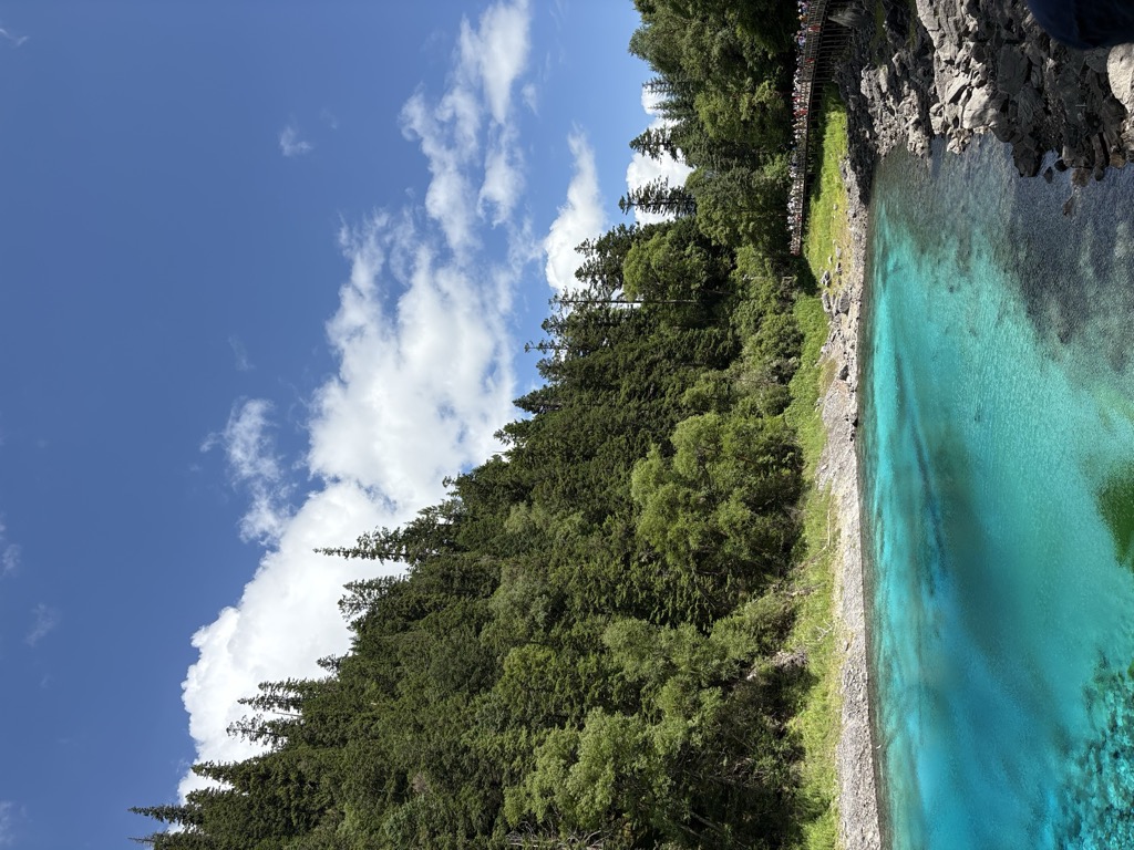 Colorful Pond