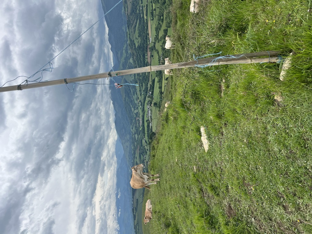 Oier Arzuaga Oñaederra
