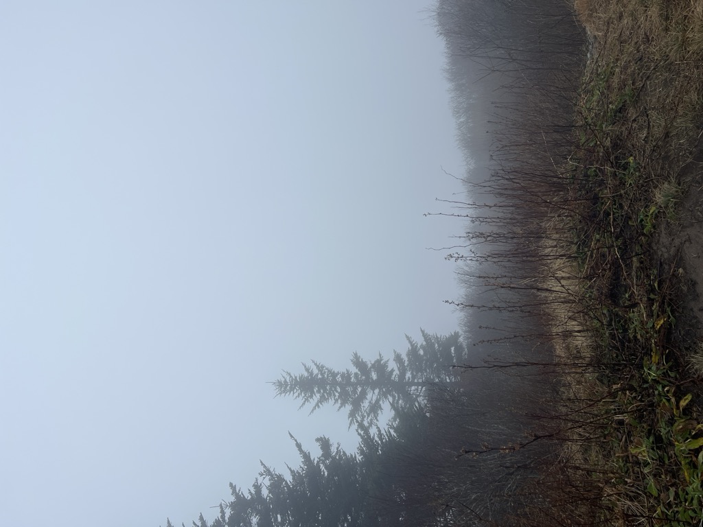 Browning Knob