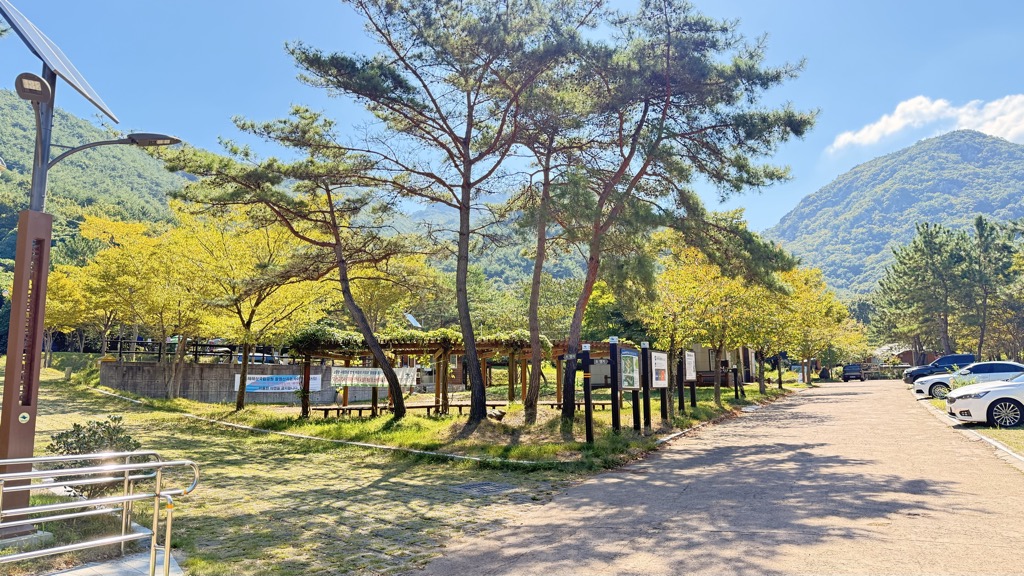 Palyeongsanjadongcakaempingjang