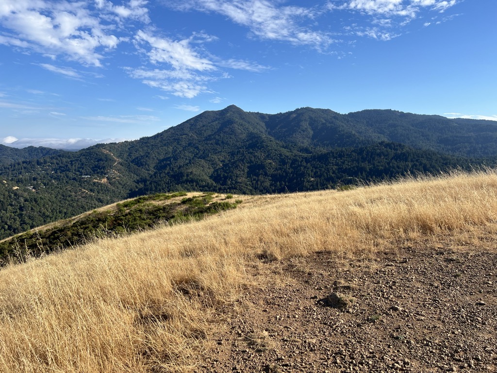 Bald Hill