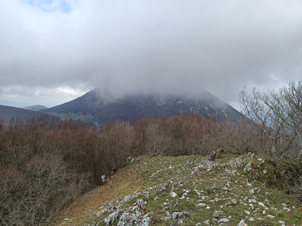 Monte Faldobono